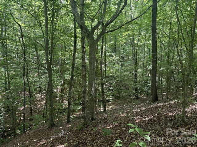 316 318 Cane Creek Mountain Road, Union Mills, NC 28167