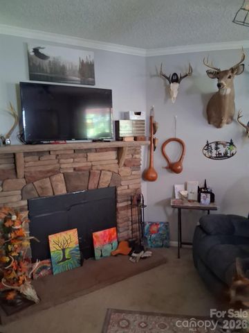 316 318 Cane Creek Mountain Road, Union Mills, NC 28167