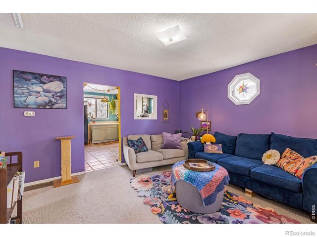 619 Pratt Street, Longmont, CO 80501
