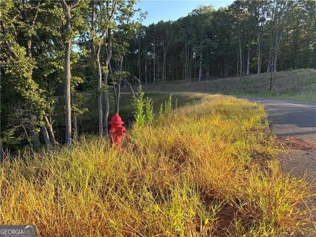 LOT 18 Norton Lane, Dahlonega, GA 30533