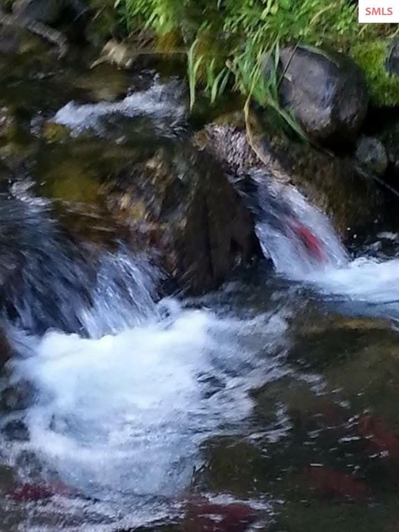 145 Cedar Dr, Bayview, ID 83803 photo 57