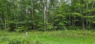 XXXX Julep Trail, Forest Lake, MN 55025