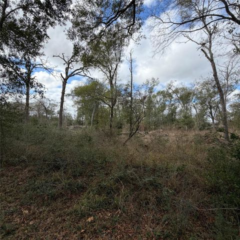 25028 Leitrim Street, Hempstead, TX 77445