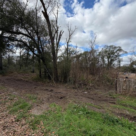 25028 Leitrim Street, Hempstead, TX 77445