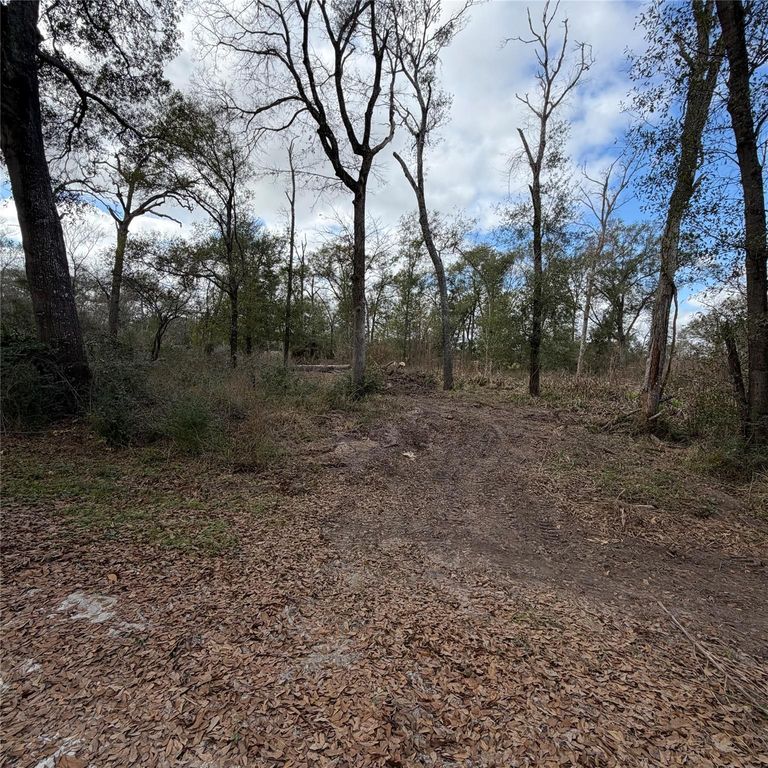 25028 Leitrim Street, Hempstead, TX 77445