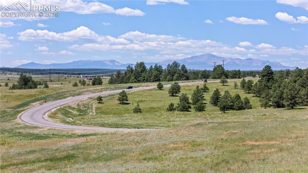 10125 Alamar Way, Colorado Springs, CO 80908 — photo 4