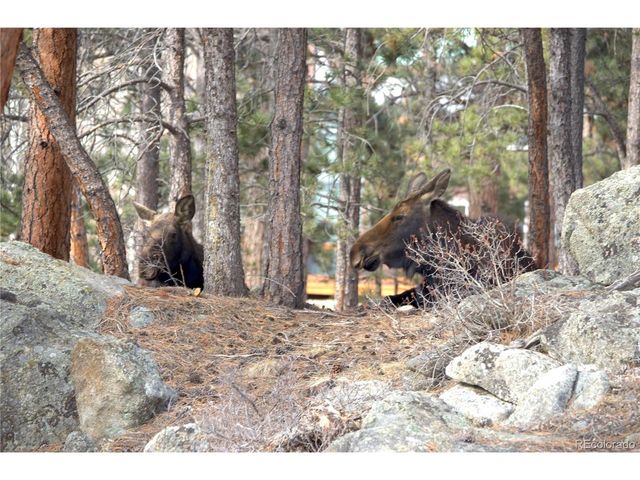 200 Rocky Knob Ln, Nederland, CO 80466