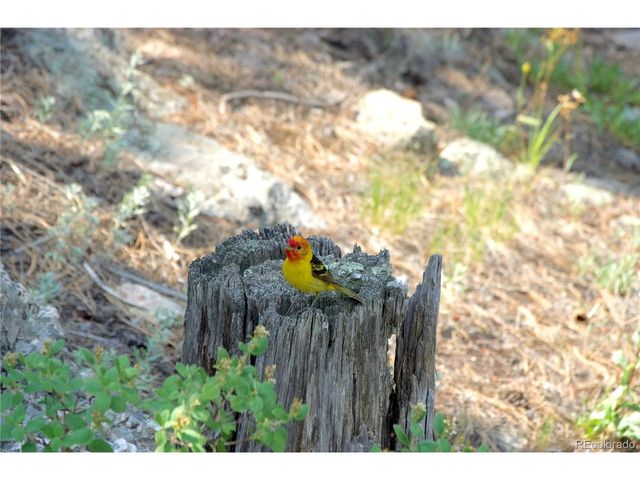 200 Rocky Knob Ln, Nederland, CO 80466