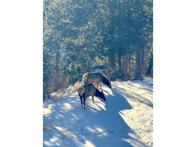 200 Rocky Knob Ln, Nederland, CO 80466
