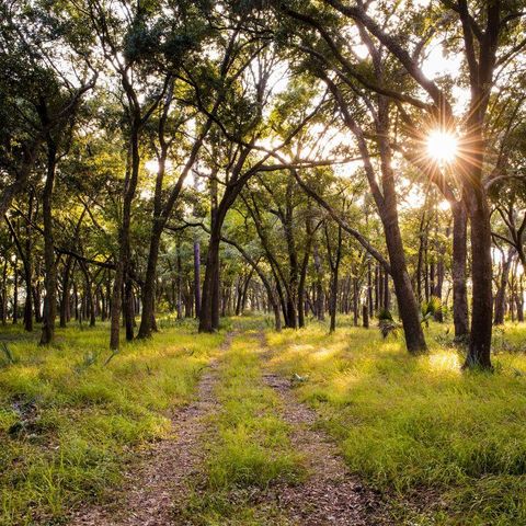 549 Spiral Ramp Court, Charleston, SC 29492