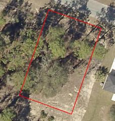 MALAUKA RADIAL, Ocklawaha, FL 32179