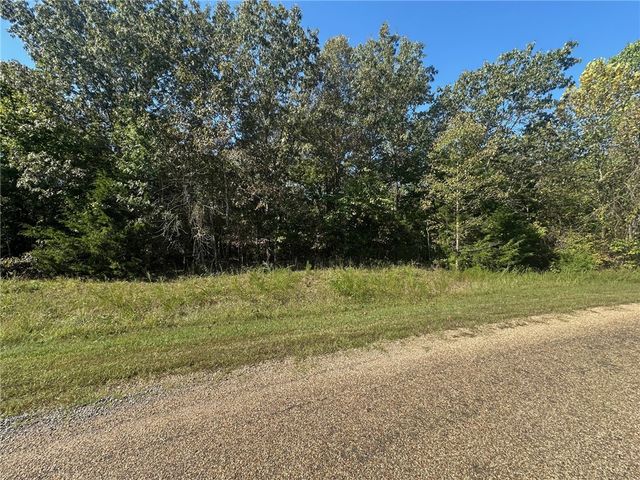 Lot 24 Cougar Drive, Mountain Home, AR 72653