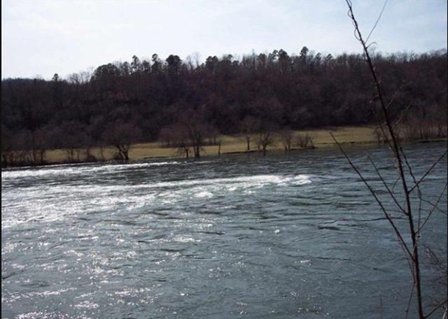 Lot 24 Cougar Drive, Mountain Home, AR 72653