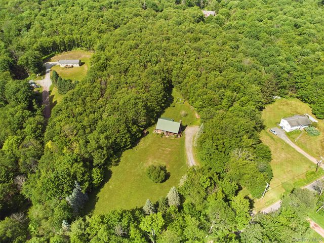 129 Elk Point Road, Livingston Manor, NY 12758