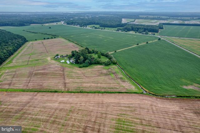 2238 PIG NECK RD, Cambridge, MD 21613