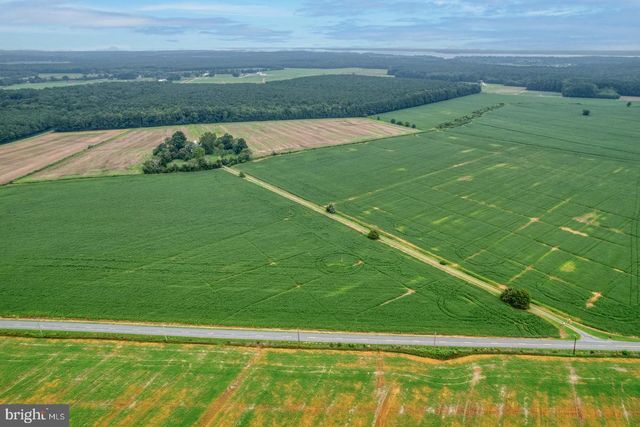 2238 PIG NECK RD, Cambridge, MD 21613