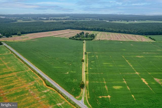 2238 PIG NECK RD, Cambridge, MD 21613