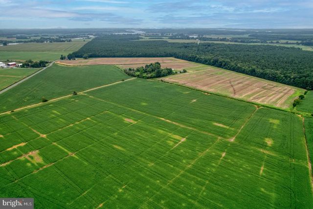 2238 PIG NECK RD, Cambridge, MD 21613