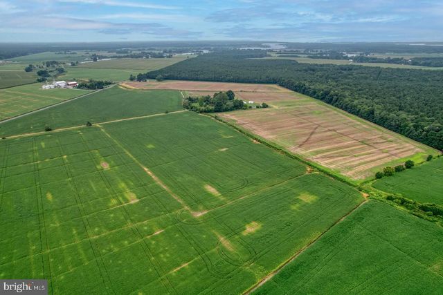 2238 PIG NECK RD, Cambridge, MD 21613