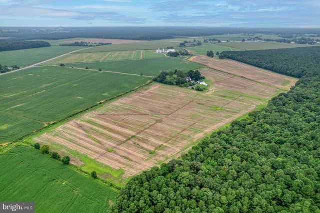 2238 PIG NECK RD, Cambridge, MD 21613