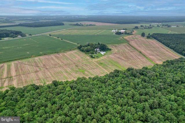 2238 PIG NECK RD, Cambridge, MD 21613