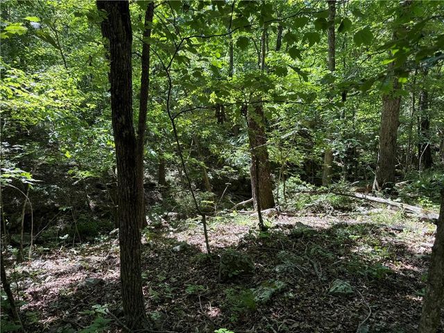 31678 295 Highway, Hindsville, AR 72738