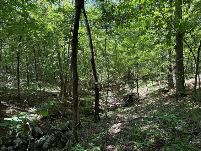 31678 295 Highway, Hindsville, AR 72738