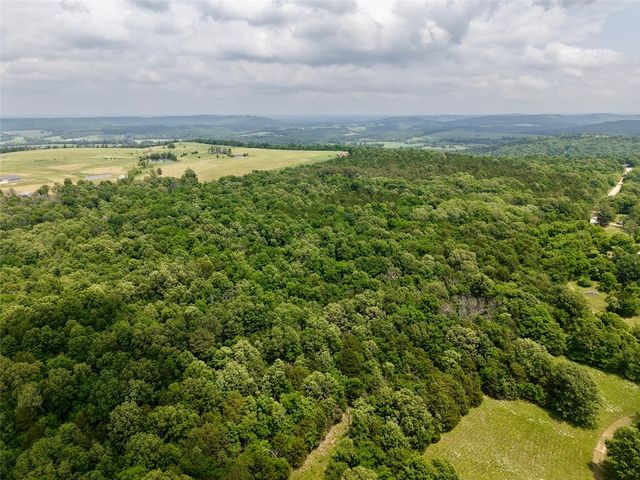 31678 295 Highway, Hindsville, AR 72738