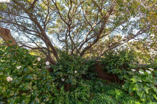 1 Kelton Ct 2D, Oakland, CA 94611