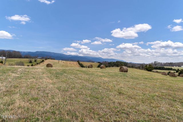 1385 Wilhoit Road, Chuckey, TN 37641