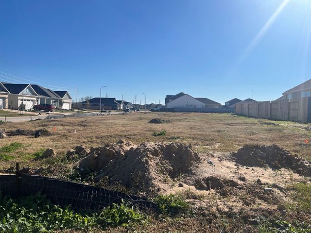 32303 Clouser Minnow Court, Fulshear, TX 77441