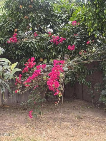 6867 Cantaloupe Avenue, Valley Glen, CA 91405