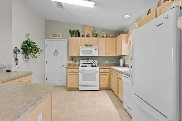 1319 CARVELLO DRIVE, The Villages, FL 32162