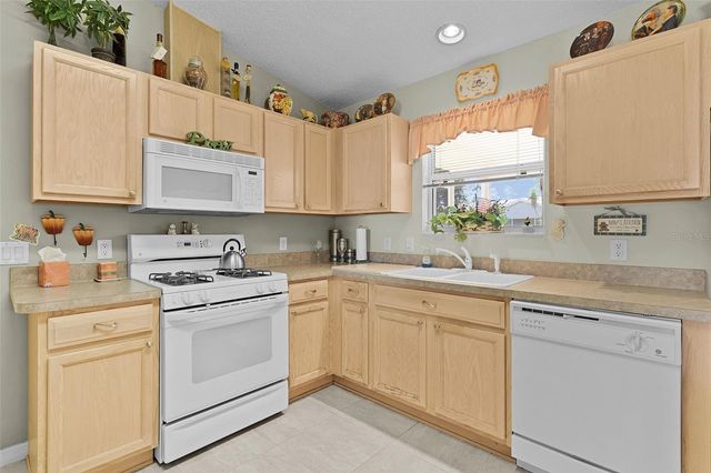 1319 CARVELLO DRIVE, The Villages, FL 32162