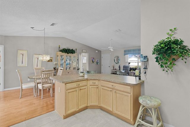 1319 CARVELLO DRIVE, The Villages, FL 32162