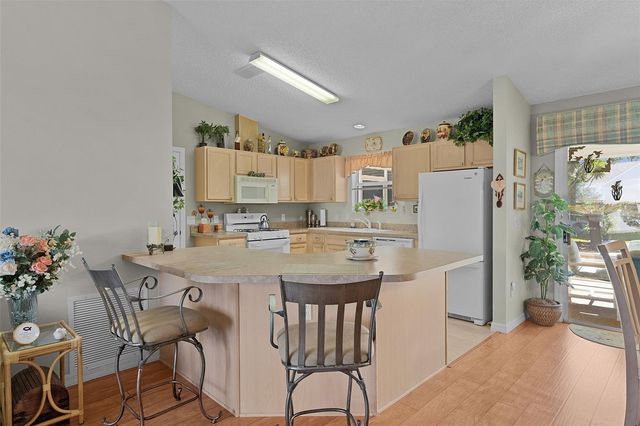 1319 CARVELLO DRIVE, The Villages, FL 32162