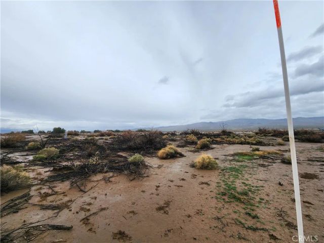 20 Morgan, Newberry Springs, CA 92356