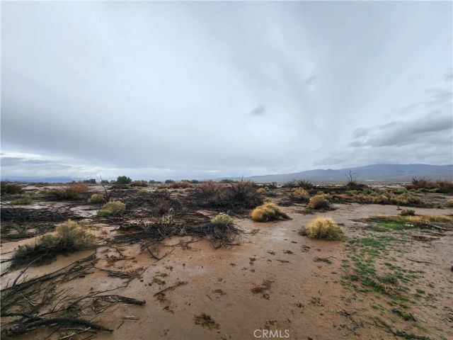 20 Morgan, Newberry Springs, CA 92356