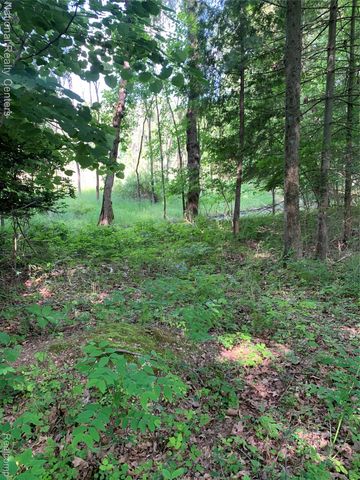 8655 Buckland Drive, Northfield Township, MI 48178