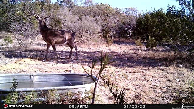 29 Oak Bend, Rocksprings, TX 78880