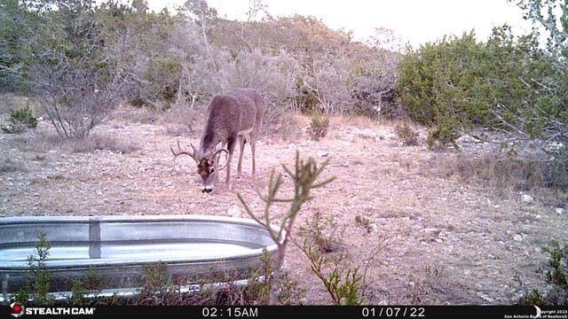 29 Oak Bend, Rocksprings, TX 78880