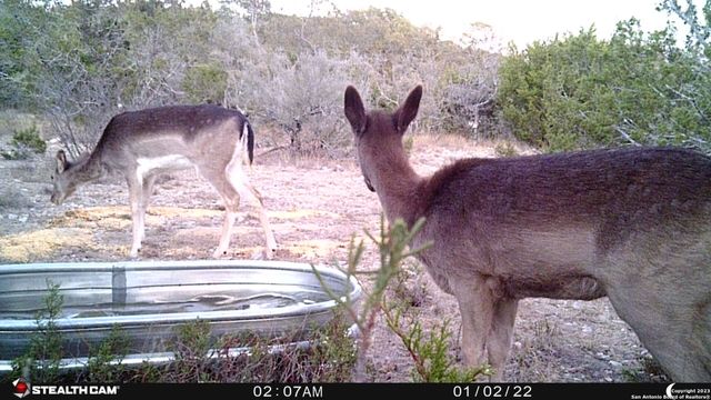 29 Oak Bend, Rocksprings, TX 78880