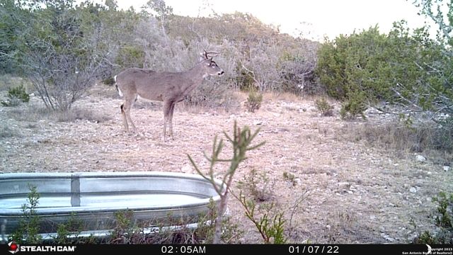 29 Oak Bend, Rocksprings, TX 78880