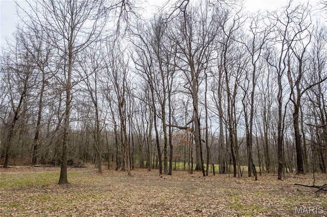 120 Willow Lane, Eolia, MO 63344