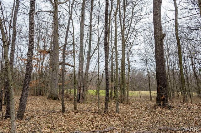 120 Willow Lane, Eolia, MO 63344