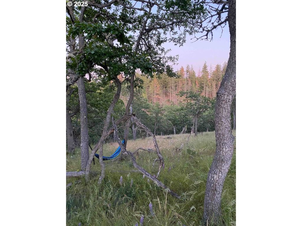 31 Columbia Hills Ln, Goldendale, WA 98620