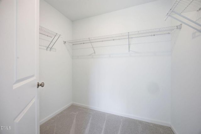 845 Basswood Glen Trail, Knightdale, NC 27545