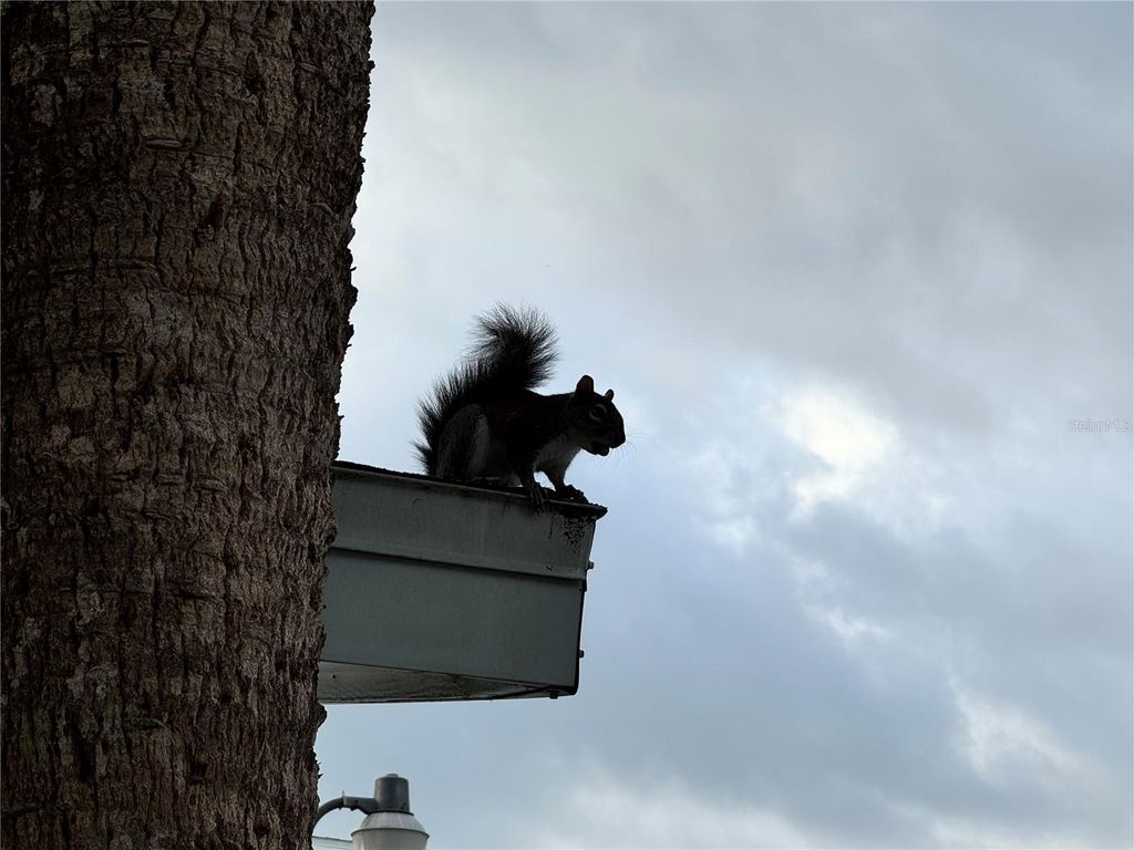 Image 27 of property listing at 1826 SUNNY DRIVE D26, Bradenton, FL 34207