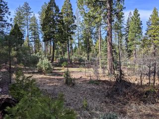 Lot 5 Waterleaf Lane, Shingletown, CA 96088