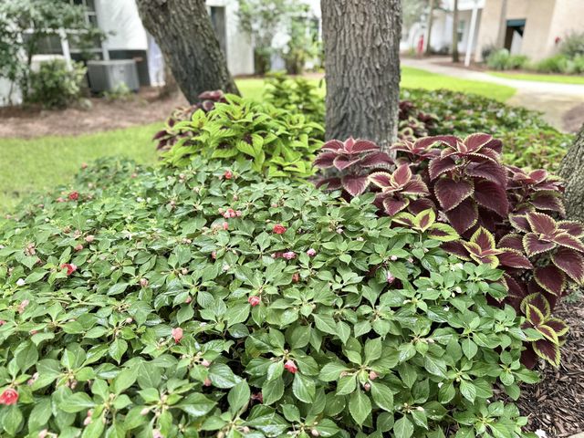 4274 Calinda Lane 243, Niceville, FL 32578